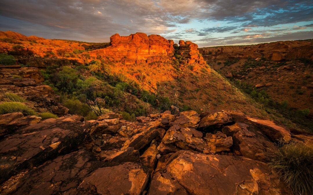 Duarum enim vitarum nobis eru